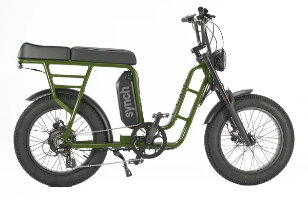 Synch Longtail ST Monkey electric bike 250w 48v Torque - Image 4