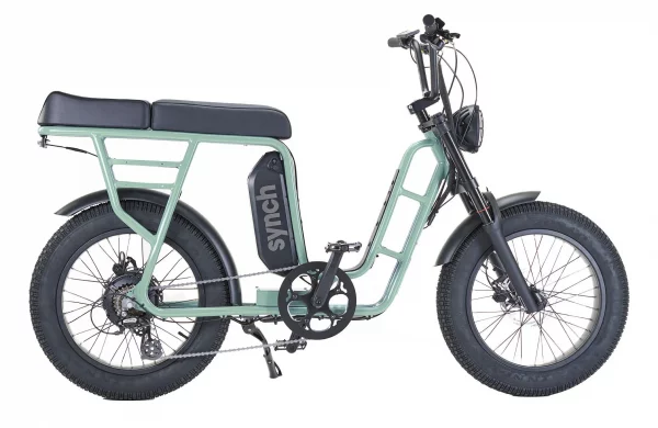 Synch Longtail ST Monkey electric bike 250w 48v Torque - Image 5